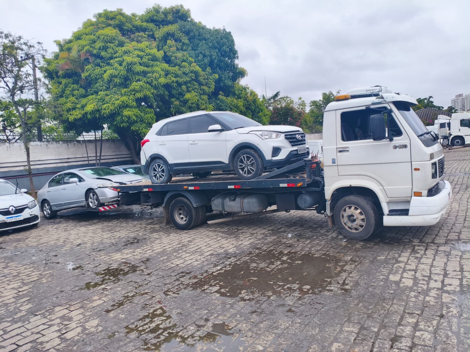 WhatsApp Image 2026-02-05 at 07.52.47